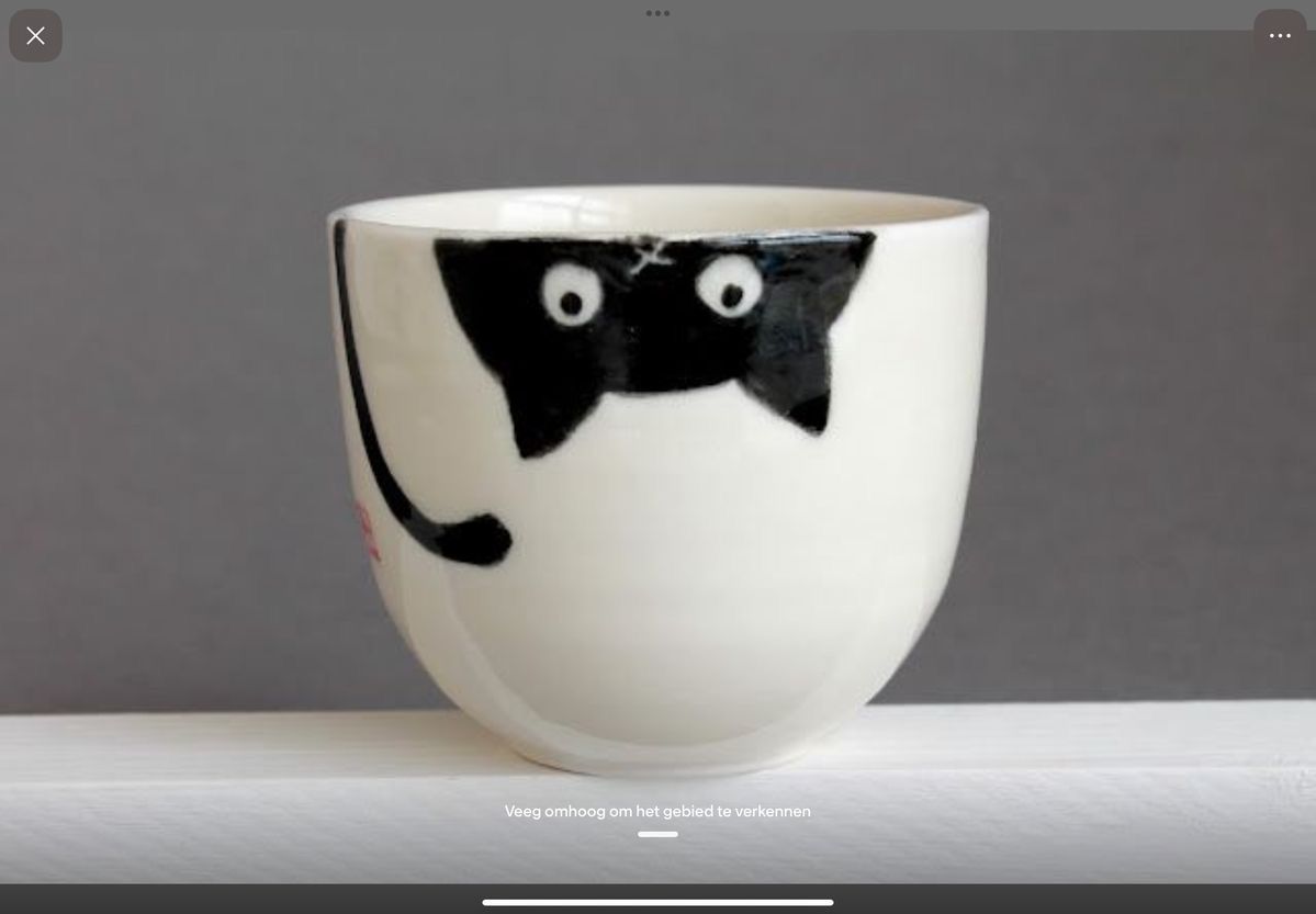 Hand-painted Ceramics Mug